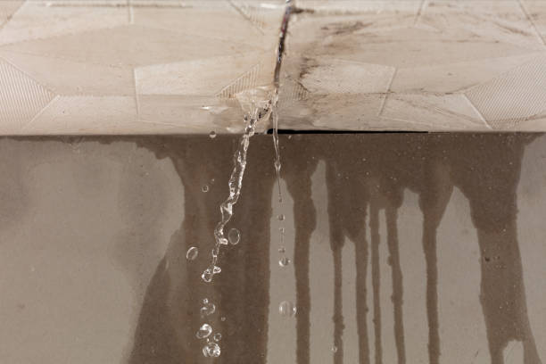 Professional Sewage Cleanup technician working in Lincoln Park, CO